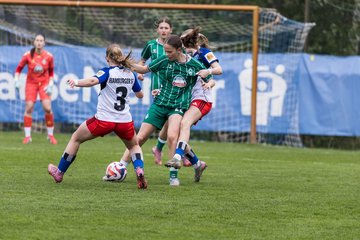 Bild 319 - wBJ Hamburger SV - SV Werder Bremen : Ergebnis: 2:2
